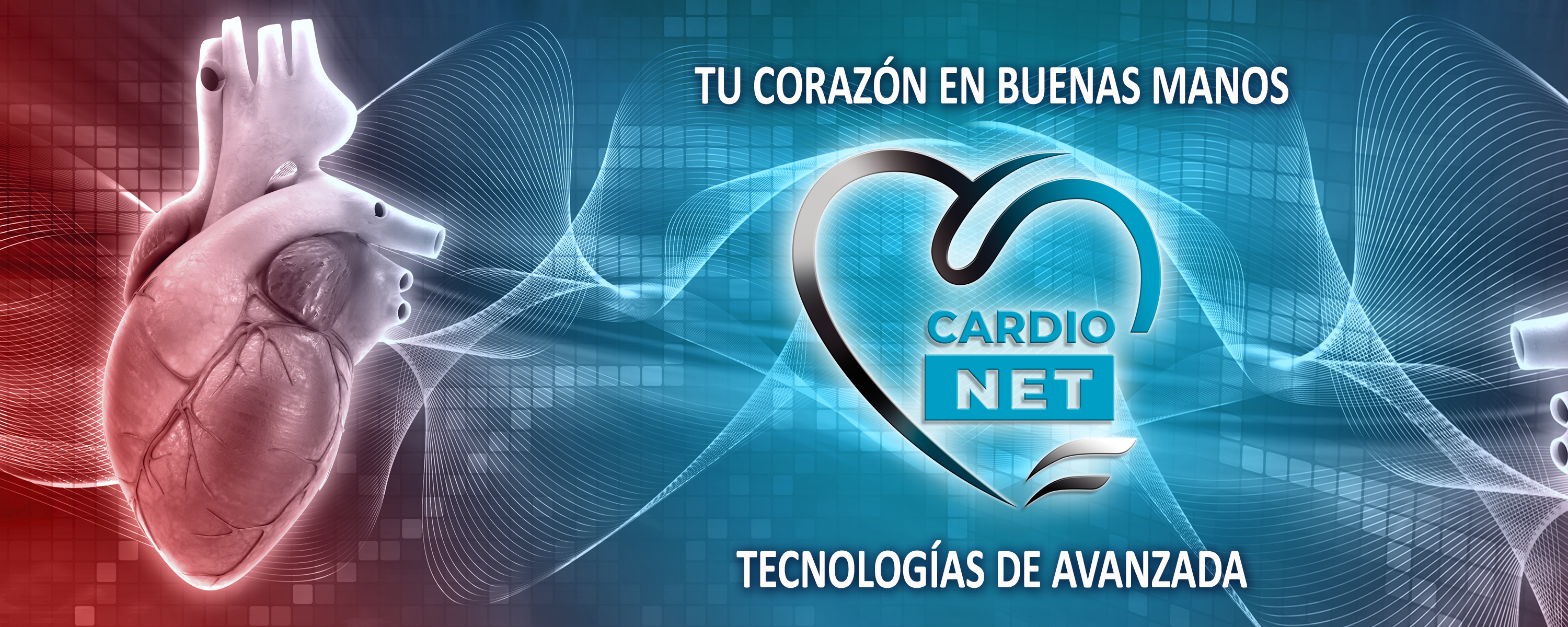 Profesionales con experiencia